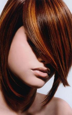 schwarzkopf