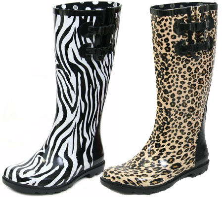 gioseppo_leopardzebra